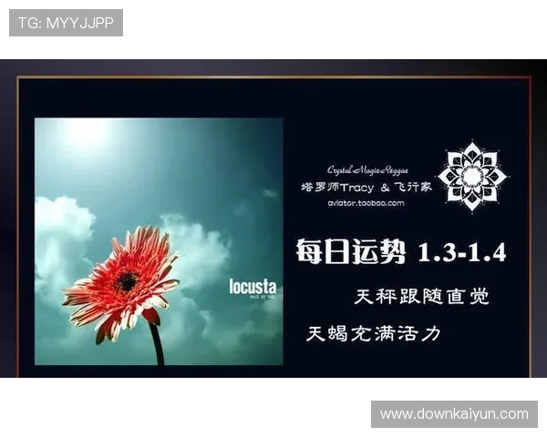 开运线图解全攻略帮助你解读命理中的吉凶线条与运势变化
